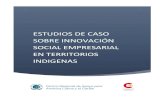 ESTUDIOS DE CASO SOBRE INNOVACIÓN SOCIAL ...centroregionalsp.org/wp-content/uploads/2020/04/Estudios...un aprendizaje recíproco, y la generación de negocios inclusivos y rentables.