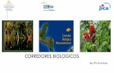Presentación de PowerPointcdb.chmhonduras.org/phocadownloadpap/CONACOBIH/corredro... · 2018. 4. 29. · Elio Alvarenga. INTRODUCCIÓN La visión predominante de la conservación