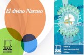 El divino Narciso - Norteatronorteatro.com/wp/wp-content/uploads/2018/06/02-Divino...2018/06/02  · El divino Narciso •Juego áureo en dos formatos –Abril 2016: estreno en Mérida