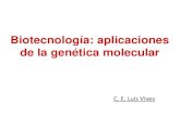 Biotecnología: aplicaciones de la genética molecular · 2021. 2. 9. · Ingeniería Genética Biotecnología. La Ingeniería Genética es posible porque: Esqueleto Azúcar- Fosfato