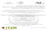Proyecto de Inversión para Producción y Comercialización de …itzonamaya.edu.mx/web_biblio/archivos/res_prof/ige/ige... · 2017. 1. 31. · 6.6.4.2.8 Engorda de corderos destetados