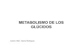 METABOLISMO DE LOS GLÚCIDOS - sld.cu...1.Digestión de los glúcidos. Transporte de los monosacáridos. 2.Fosforilación inicial de las hexosas. 3.Metabolismo del glucógeno. Características.