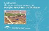 Cartografía de lagunas temporales del Parque Nacional de Doñanawebspersoais.usc.es/andres.baselga/pdfs2/Gomez-Rodriguez... · 2021. 7. 8. · ESTACION BIOLÓGICA DE DOÑANA (CSIC)
