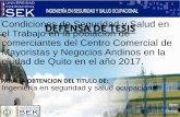 Presentación de PowerPoint · Condiciones de Seguridad y Salud en el Trabajo en la población de comerciantes del Centro Comercial de Mayoristas y Negocios Andinos en la ciudad de
