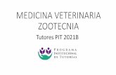 MEDICINA VETERINARIA ZOOTECNIAcusur.udg.mx/.../default/files/pit_tutores_veterinaria.pdf · 2021. 8. 10. · Soy profesora y tutora con 28 años de antigüedad, estudié una maestría