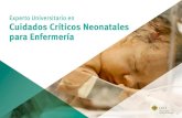Experto Universitario...técnicas de reanimación neonatal en caso necesario o el abordaje de las situaciones más graves en el infante crítico, como son los trastornos cardíacos