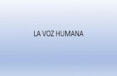 LA VOZ HUMANAiestrayamar.es/files/LA_VOZ_HUMANA.pdf · 2020. 10. 19. · La voz humana se puede considerar un instrumento musical . En la producción de la voz podemos distinguir