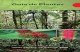 Guía de Plantas · 2019. 12. 14. · La GUÍA DE PLANTAS constituye la segunda edición de la Serie Biodi-versidad y Comunidades Nativas del Bajo Urubamba, Perú; precedida por la