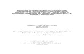 METODOLOGÍA DE LA EVALUACIÓN · 2020. 12. 15. · IRMA HURTADO Monografía exigida como requisito para optar al título de: Especialista en Evaluación de Programas e Instituciones