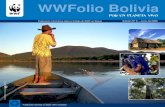 WWFolio Bolivia - Panda · 2020. 10. 30. · castaña, entre las cuales están la falta de seguridad jurídica sobre la tenencia de tierra en la región, la falta de calidad de la