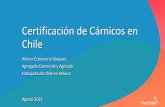 Certificación de Cárnicos en Chile XXXXXXXXXX