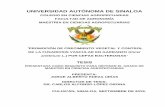 UNIVERSIDAD AUTÓNOMA DE SINALOA - CCA-UAS