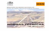 Manual de NORMAS TÉCNICAS - Bienes Nacionales