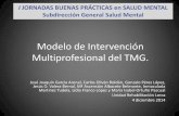 Modelo de Intervención Multiprofesional del TMG.