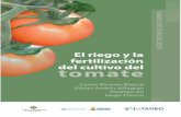El riego y la fertilización del cultivo del tomate