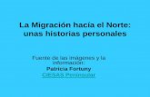 La Migración hacía el Norte: unas historias personales