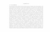 CAPÍTULO I 1.1 Generalidades - UAJMS