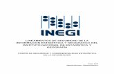 Seguridad de la Información - INEGI