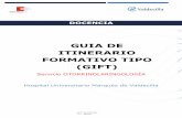 GUIA DE ITINERARIO FORMATIVO TIPO (GIFT)