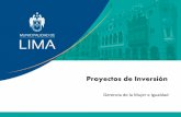 Proyectos de Inversión - Lima