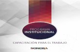 Programa Institucional del Instituto de