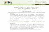 Resistência de Painéis Aglomerados de Acacia mangium Willd ...
