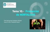 Tema 10.- Producción de HORTALIZAS