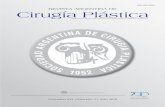 Cirugia plastica revista 20100831 - SACPER