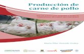 Producción de carne de pollo