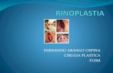 FERNANDO ARANGO OSPINA CIRUGIA PLASTICA FUSM