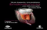Título Experto Universitario Endodoncia