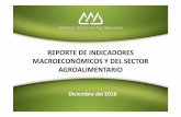 REPORTE DE INDICADORES MACROECONÓMICOS Y DEL …