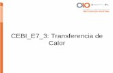 CEBI E7 3: Transferencia de Calor