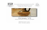Griego VII / Dra. Cecilia Jaime / Material del curso