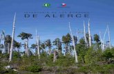 Bosques de Alerce - INFOR