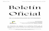 Boletin Oficial N 356.doc) - patagones.gob.ar