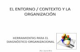 EL ENTORNO / CONTEXTO Y LA ORGANIZACIÓN