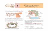 1 embriológico Planteamiento - UNR