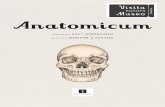 Anatomicum - Impedimenta