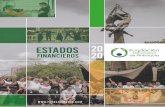 Estados Financieros NIIF FUA 2020 - fundacionudea.com