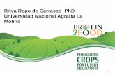 Ritva Repo de Carrasco PhD Universidad Nacional Agraria La ...