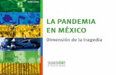 LA PANDEMIA EN MÉXICO - consejoincide.com