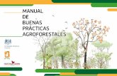 MANUAL DE BUENAS PRÁCTICAS AGROFORESTALES