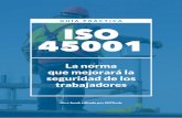 GUÍA PRÁCTICA ISO 45001