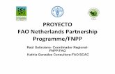 PROYECTO FAO Netherlands Partnership Programme/FNPP