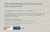 GIS methodology for local tsunami risk assessment