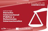 MÁSTER Derecho Internacional Público y Relaciones ...