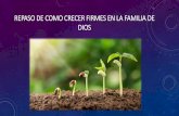 BERVE REPASO DE COMO CRECER FIRMES EN LA FAMILIA …