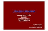 12.-LITIASIS URINARIA bioquimica GONZALO URO