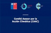 Comité Asesor por la Acción Climática (CAAC)